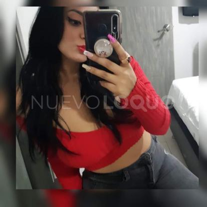 NuevoLoquo3