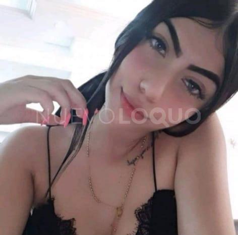 NuevoLoquo3