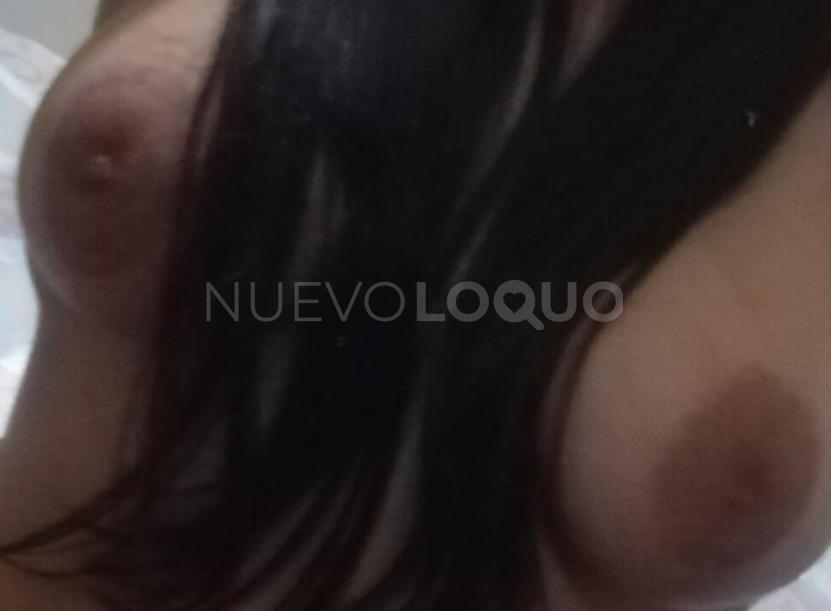 NuevoLoquo3