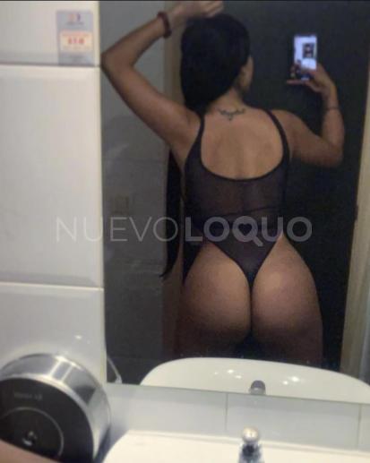 NuevoLoquo5