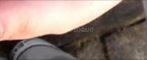 NuevoLoquo0