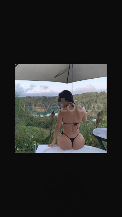 NuevoLoquo2