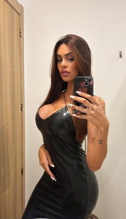 NuevoLoquo1