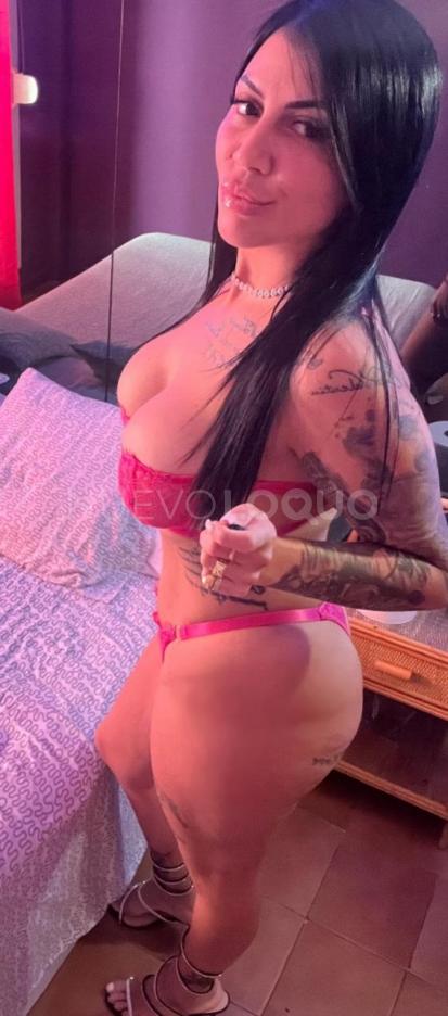 NuevoLoquo1
