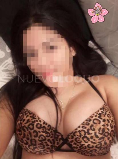 NuevoLoquo3