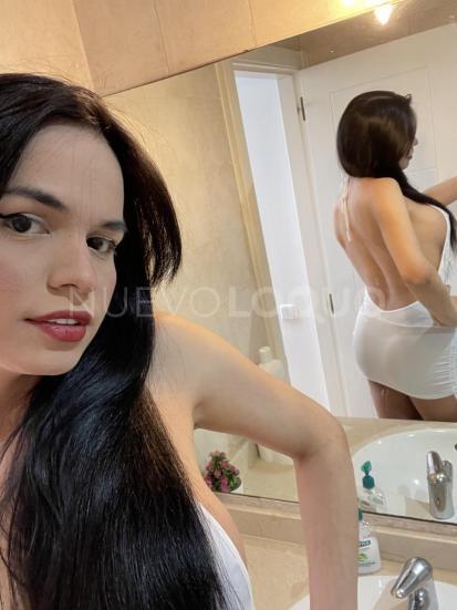 NuevoLoquo3