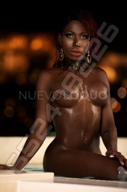 NuevoLoquo0
