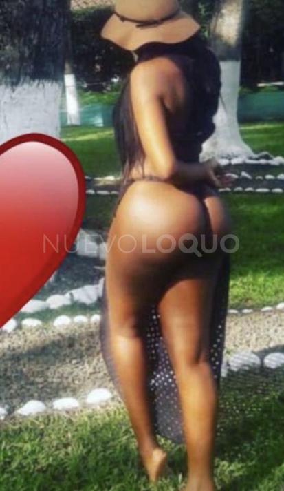 NuevoLoquo1
