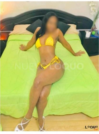 NuevoLoquo1
