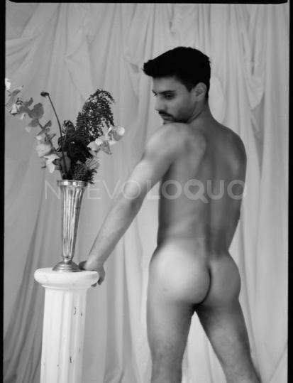Posts pasion