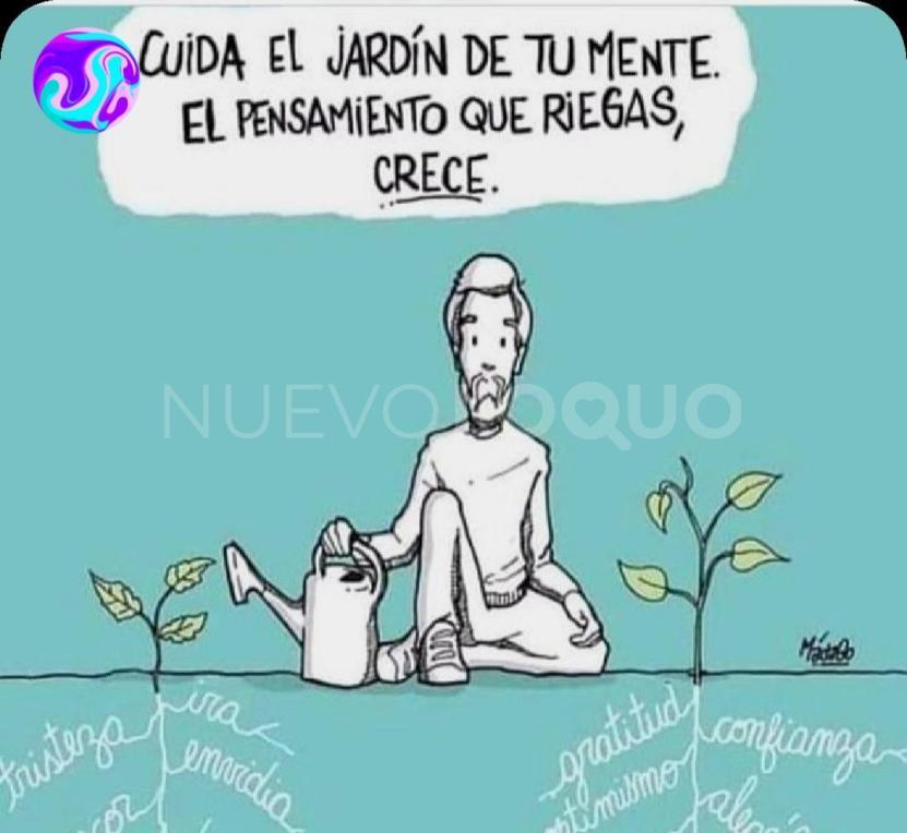 NuevoLoquo4