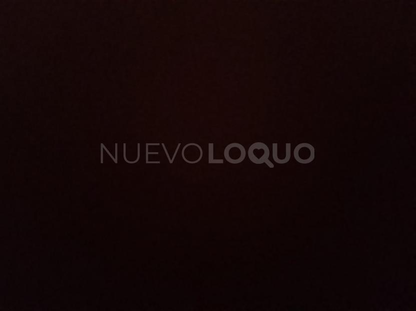 NuevoLoquo1