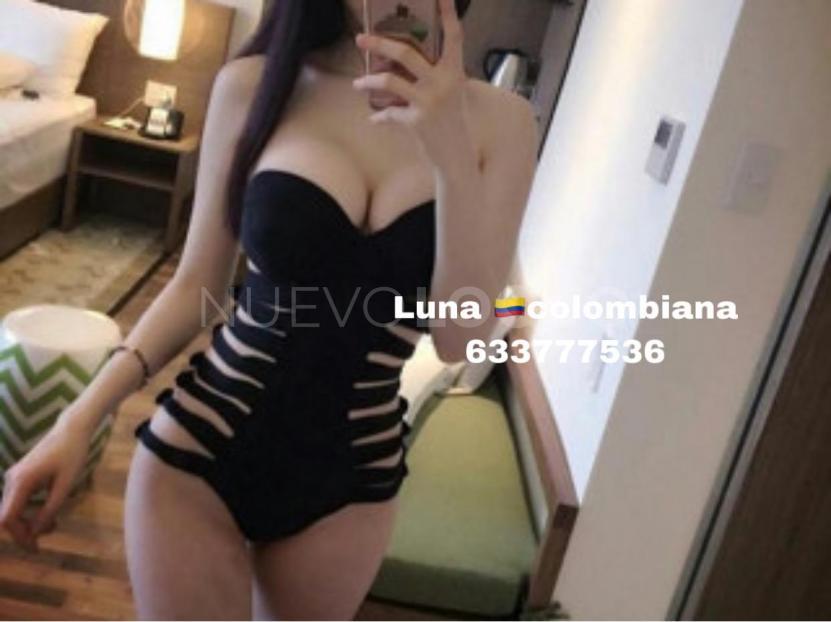 NuevoLoquo1