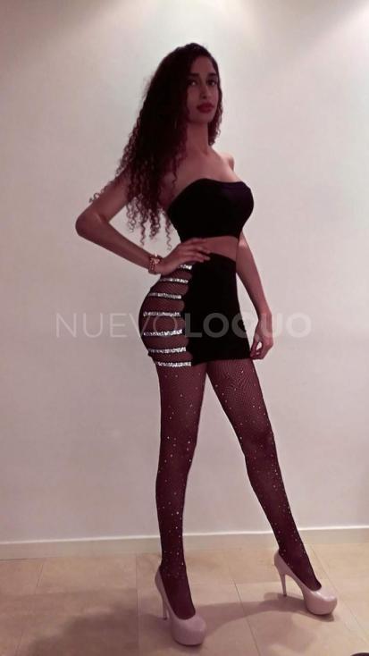 NuevoLoquo1