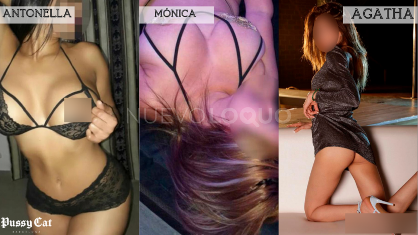 contactos pasion