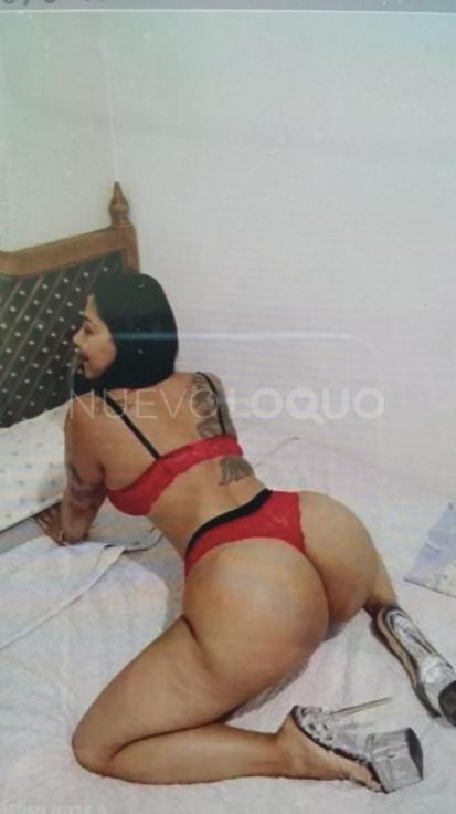 NuevoLoquo2