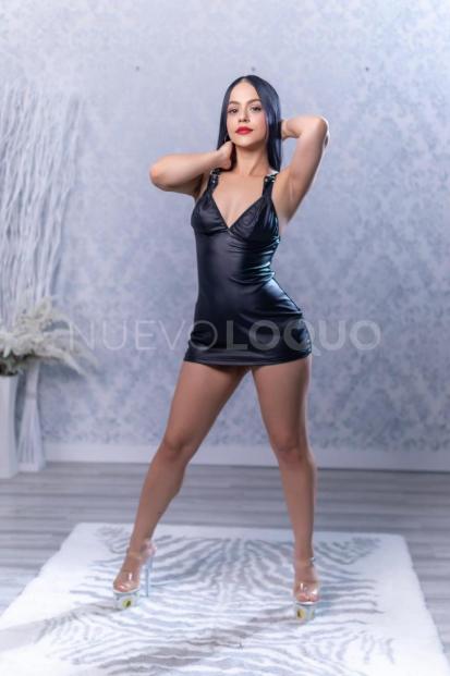 NuevoLoquo2