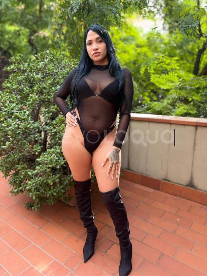 NuevoLoquo3