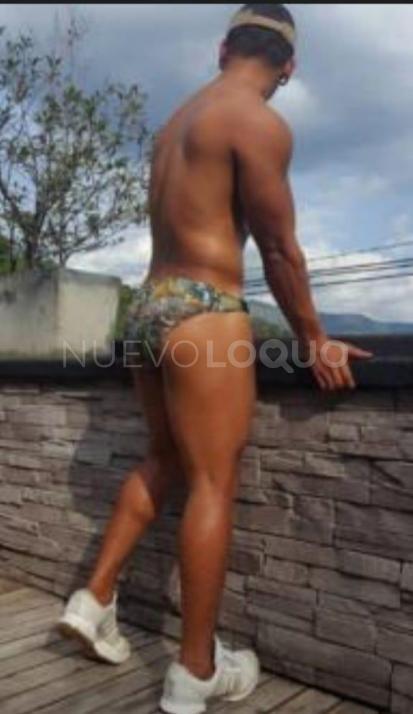 NuevoLoquo3