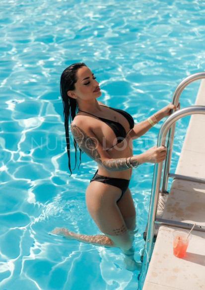 NuevoLoquo1