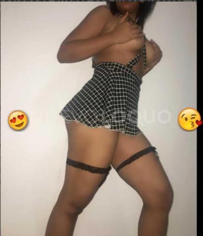 NuevoLoquo3