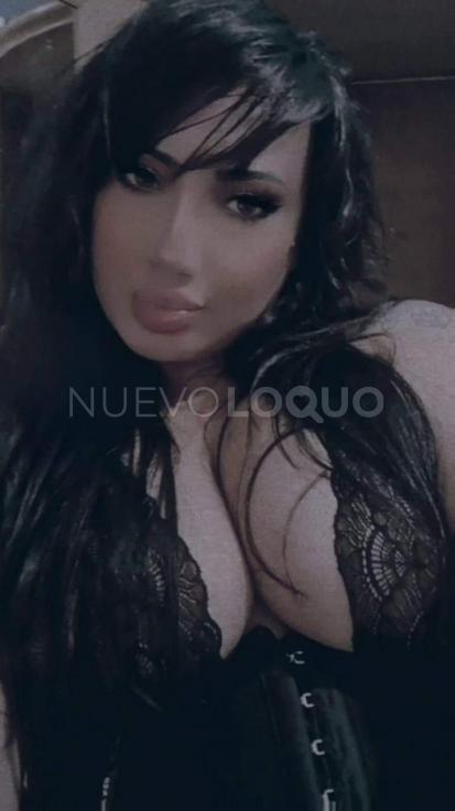 NuevoLoquo4