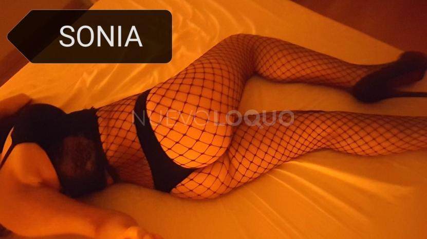 NuevoLoquo2
