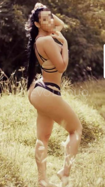 NuevoLoquo2