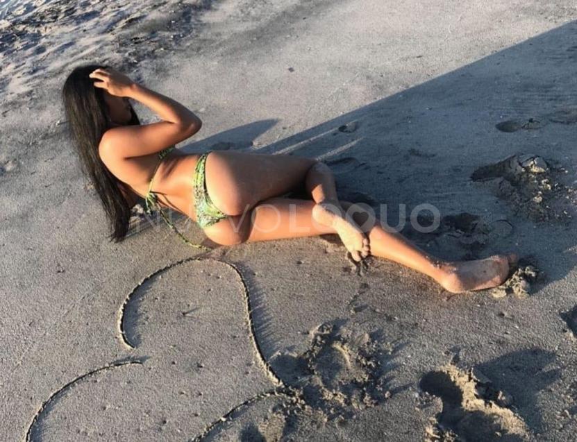 NuevoLoquo3