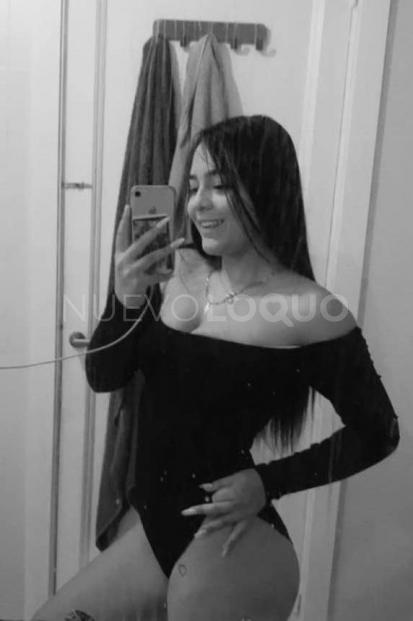 NuevoLoquo3