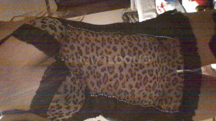 NuevoLoquo2