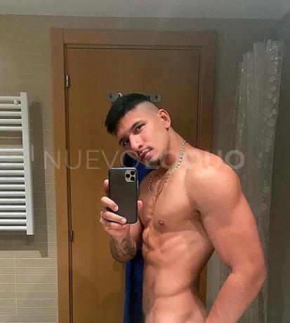 NuevoLoquo4