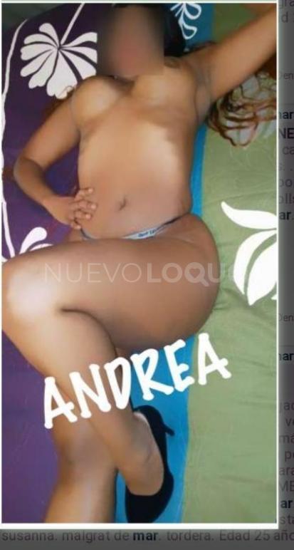 NuevoLoquo2