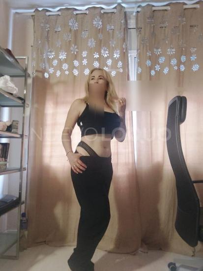 NuevoLoquo2