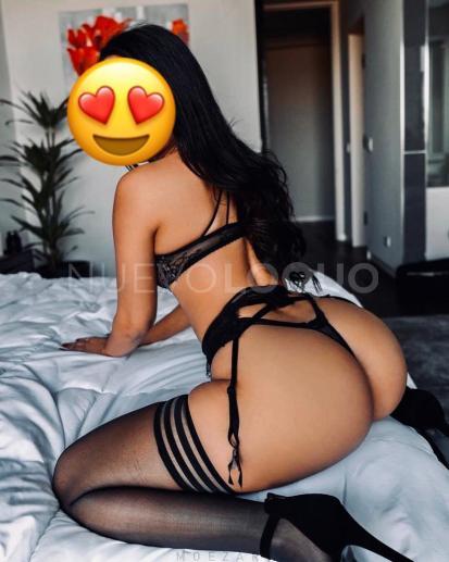 NuevoLoquo2