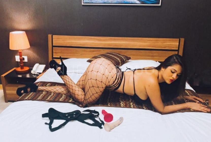 NuevoLoquo2