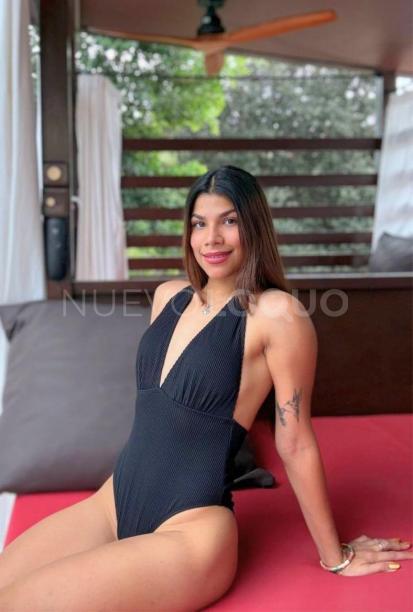 NuevoLoquo3