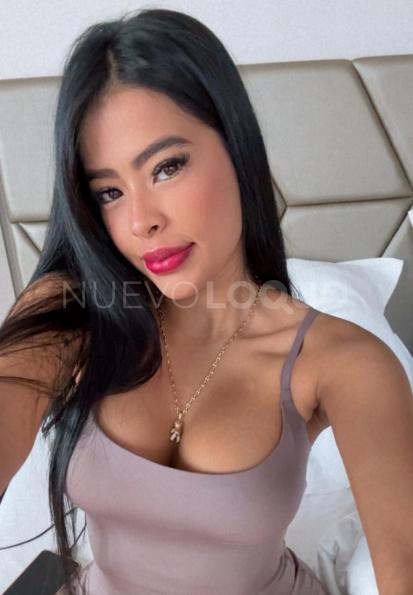 NuevoLoquo3
