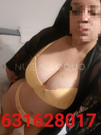  Novedad caribeña cariñosa
