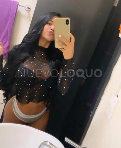 NuevoLoquo3