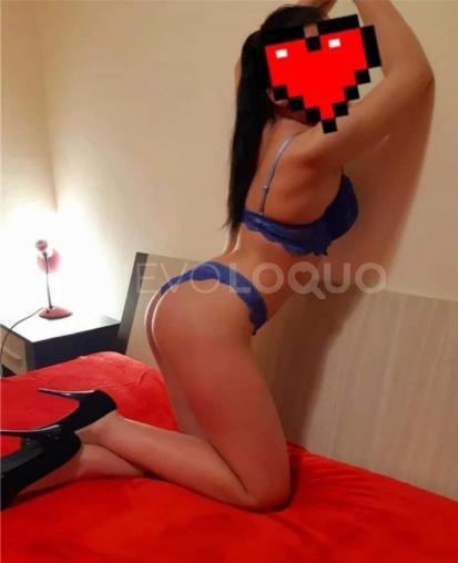 NuevoLoquo3