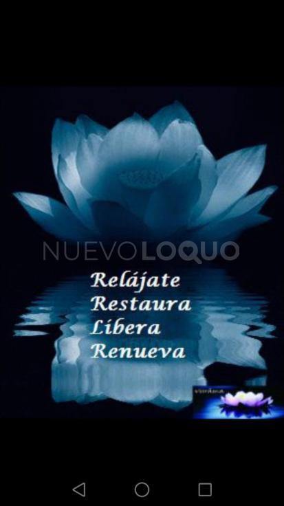 NuevoLoquo5