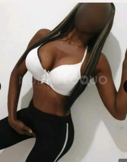 NuevoLoquo3