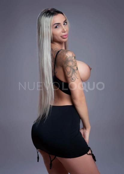 NuevoLoquo2