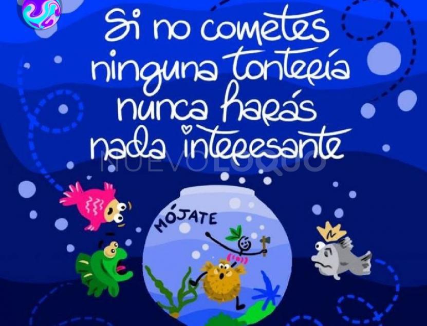NuevoLoquo3