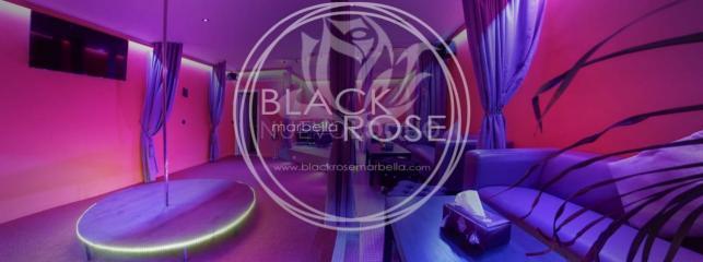 Black roseBlack roseBlack rosevBlack roseBlack roseBlack roseBlack rose