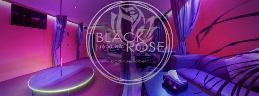  Black roseBlack roseBlack rosevBlack roseBlack roseBlack roseBlack rose