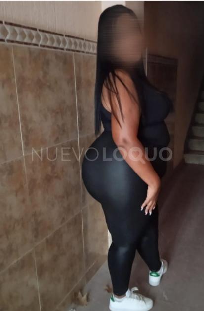 NuevoLoquo3
