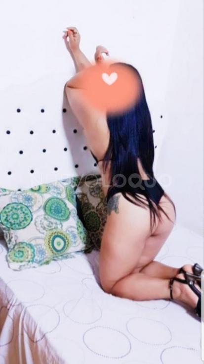 NuevoLoquo2