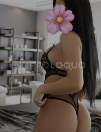 NuevoLoquo3
